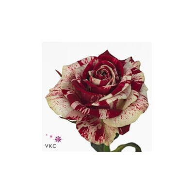 Ανθοπωλείο flowershop.gr