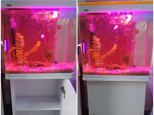 Aquarium Products