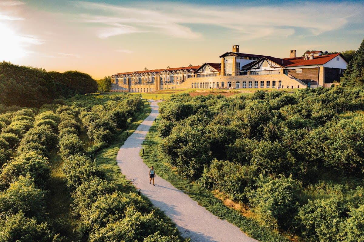 Guided Tree Farm Tours