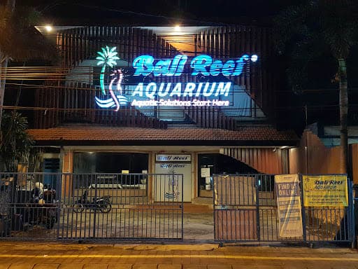 Pemeliharaan Akuarium
