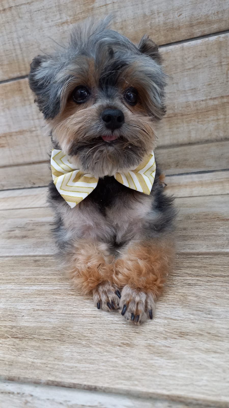 Nail Trim