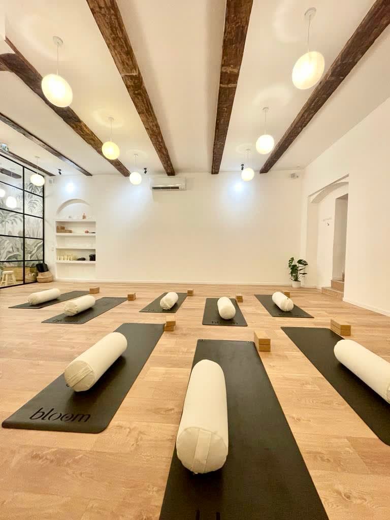 Vinyasa Flow