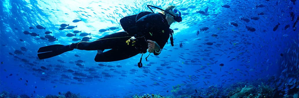 Divemaster Course