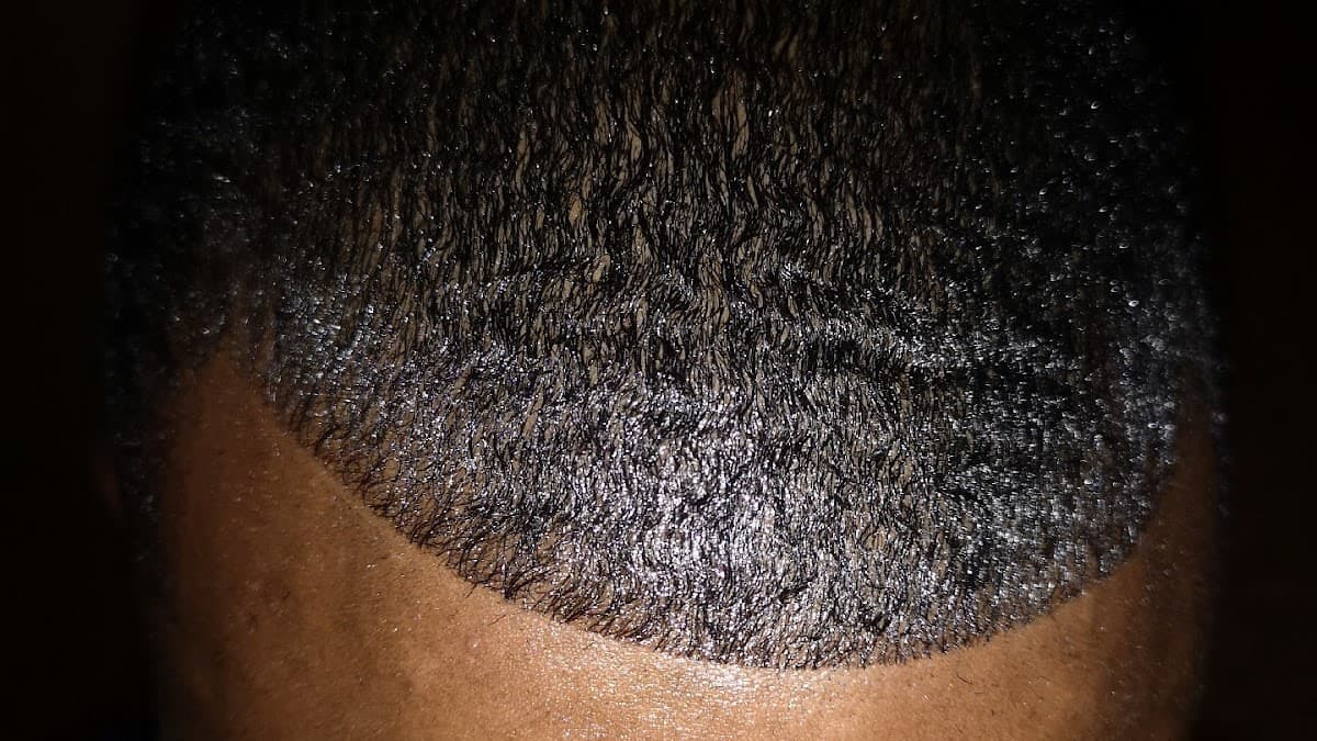 Beard Trim