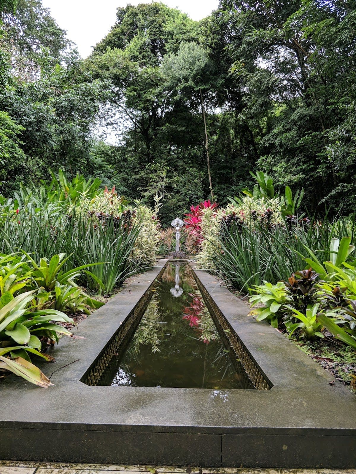 Educação Ambiental