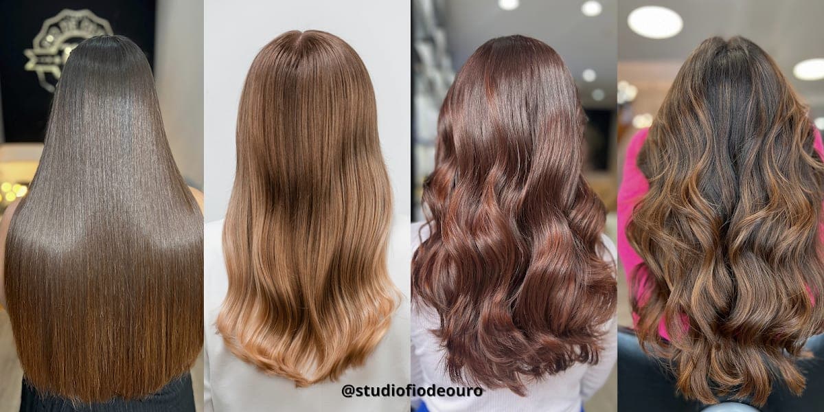 Highlights
