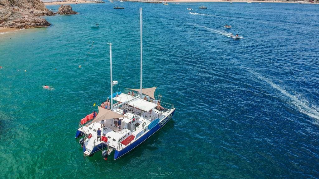 Avistamiento de Ballenas