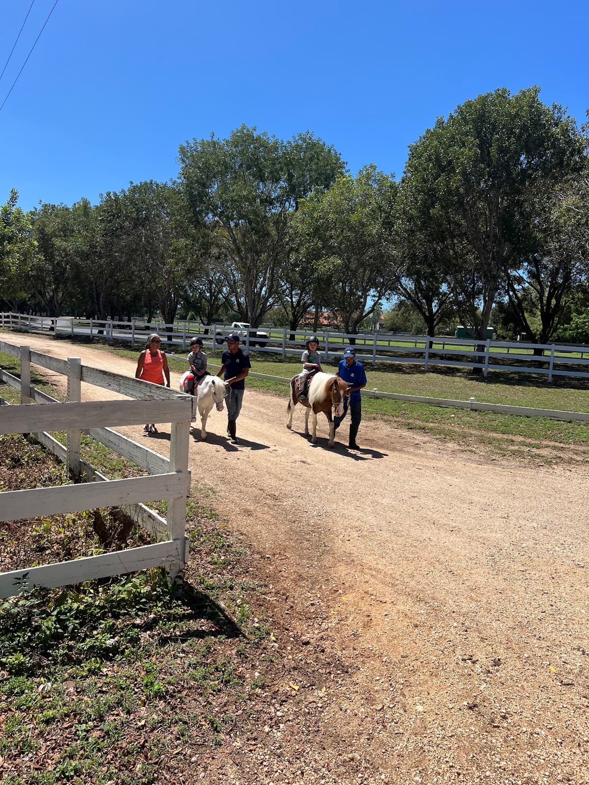 Basic Riding Lessons