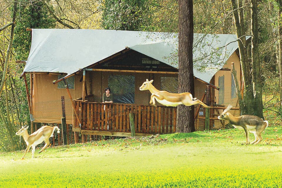 Les Lodges