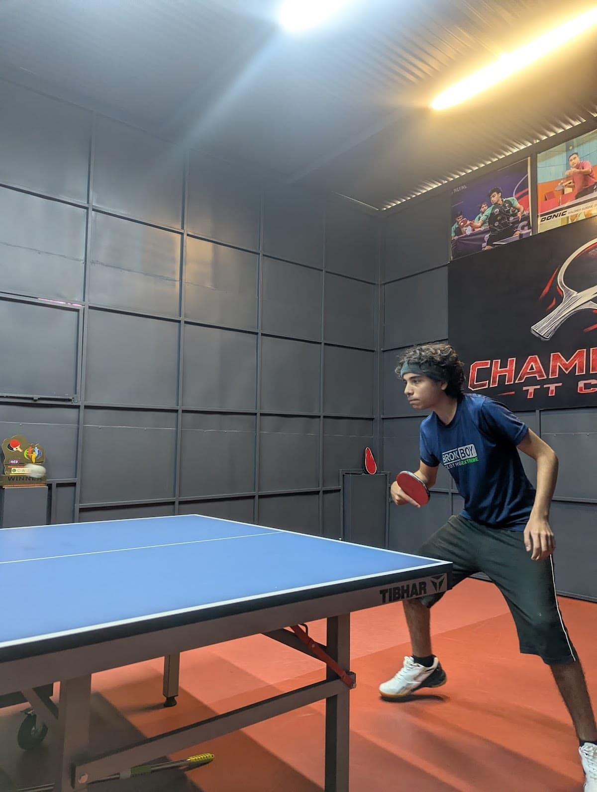 Table Tennis Court Rental