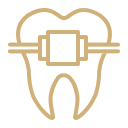 Endodoncia