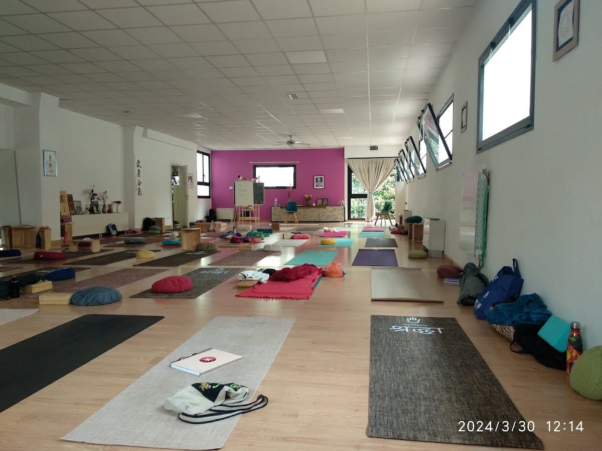 Viniyoga