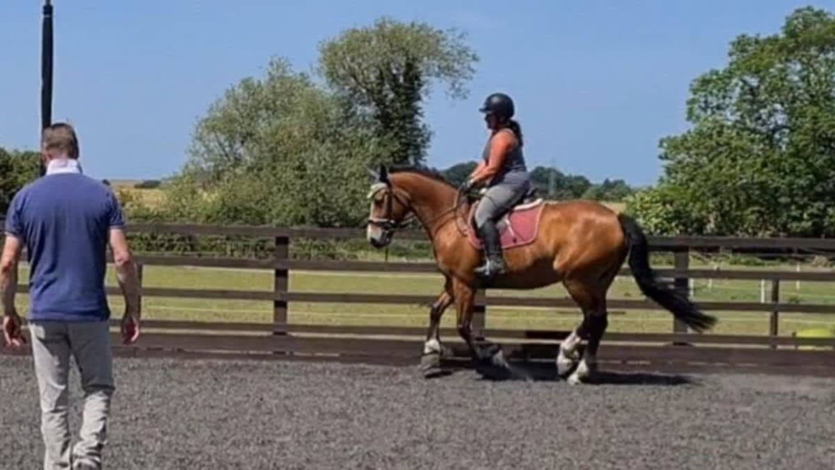 Riding Lessons
