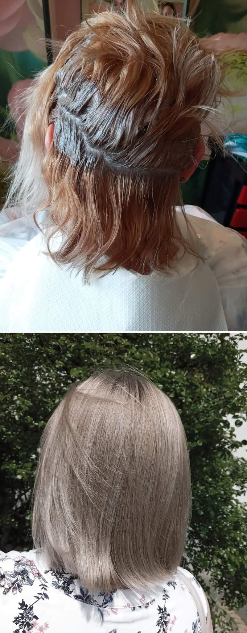 Highlights