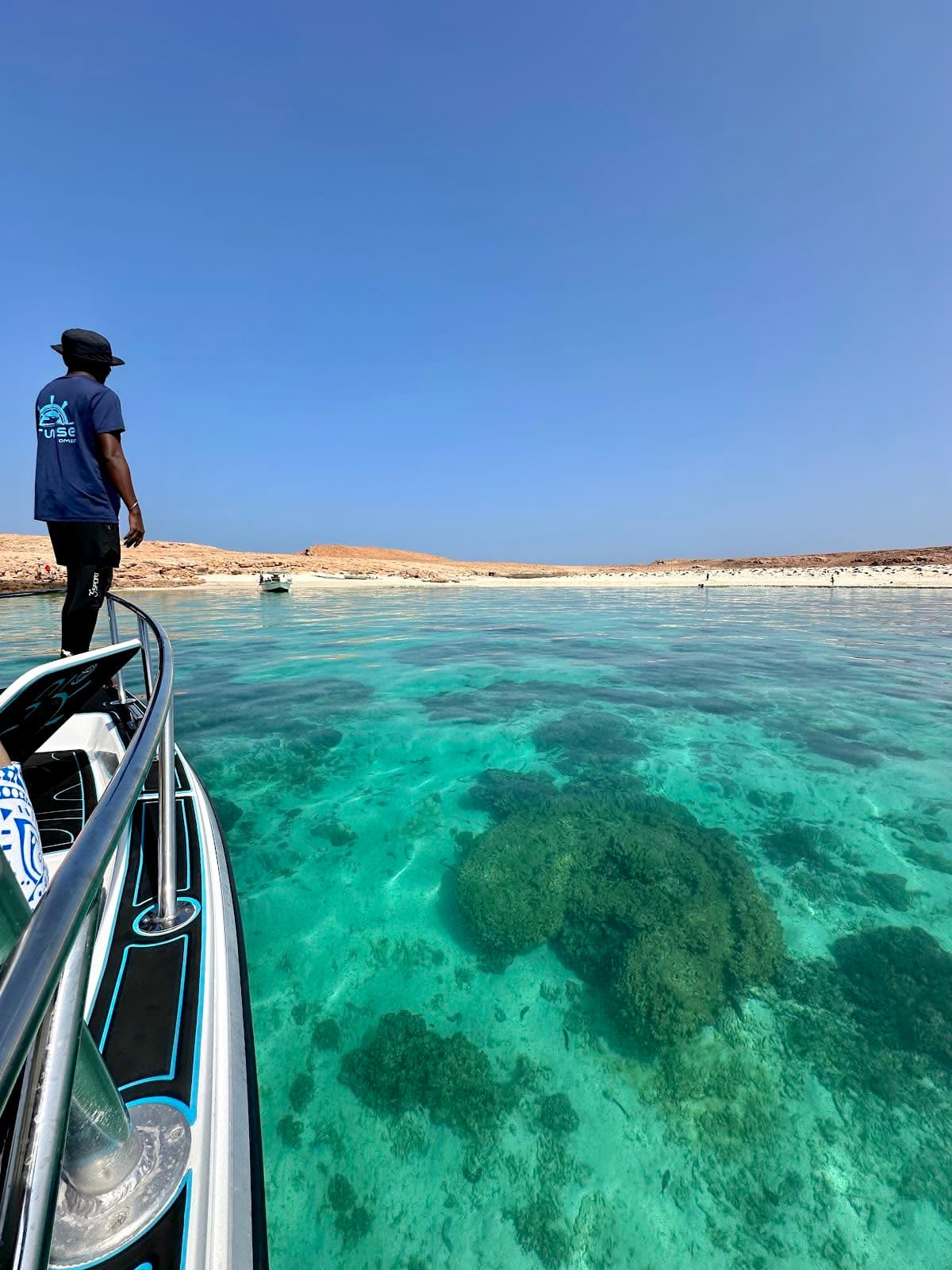 Dolphin Watching Group Tour