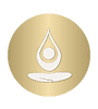 Vinyasa Flow