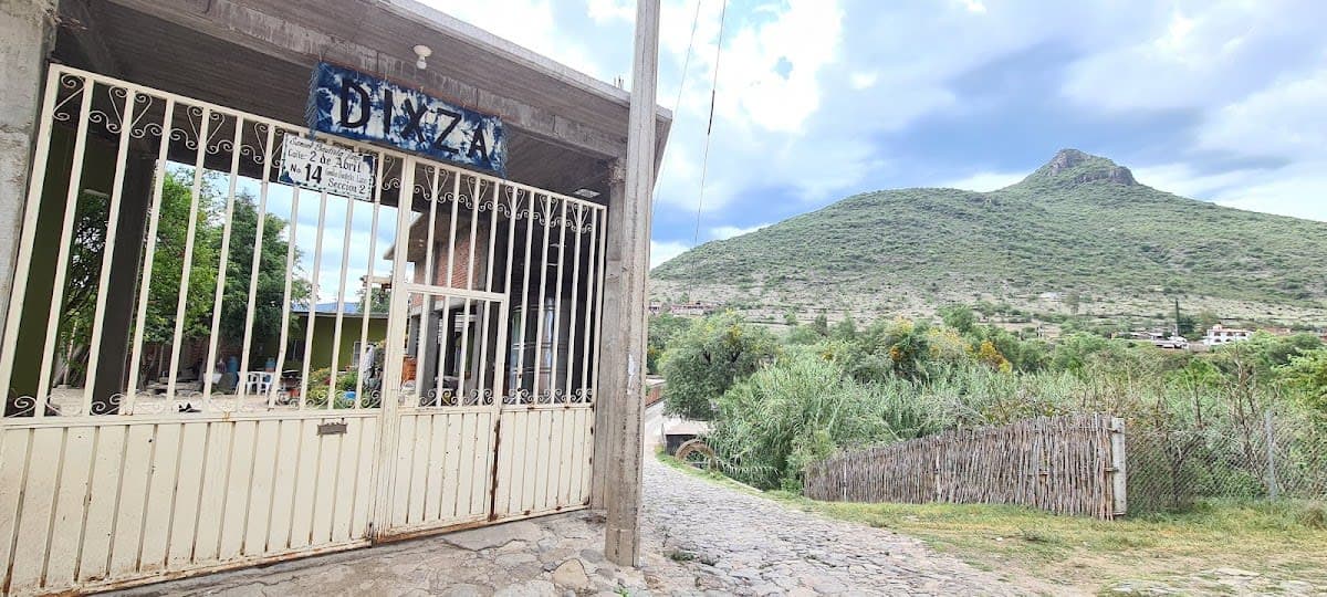 Tours y Actividades
