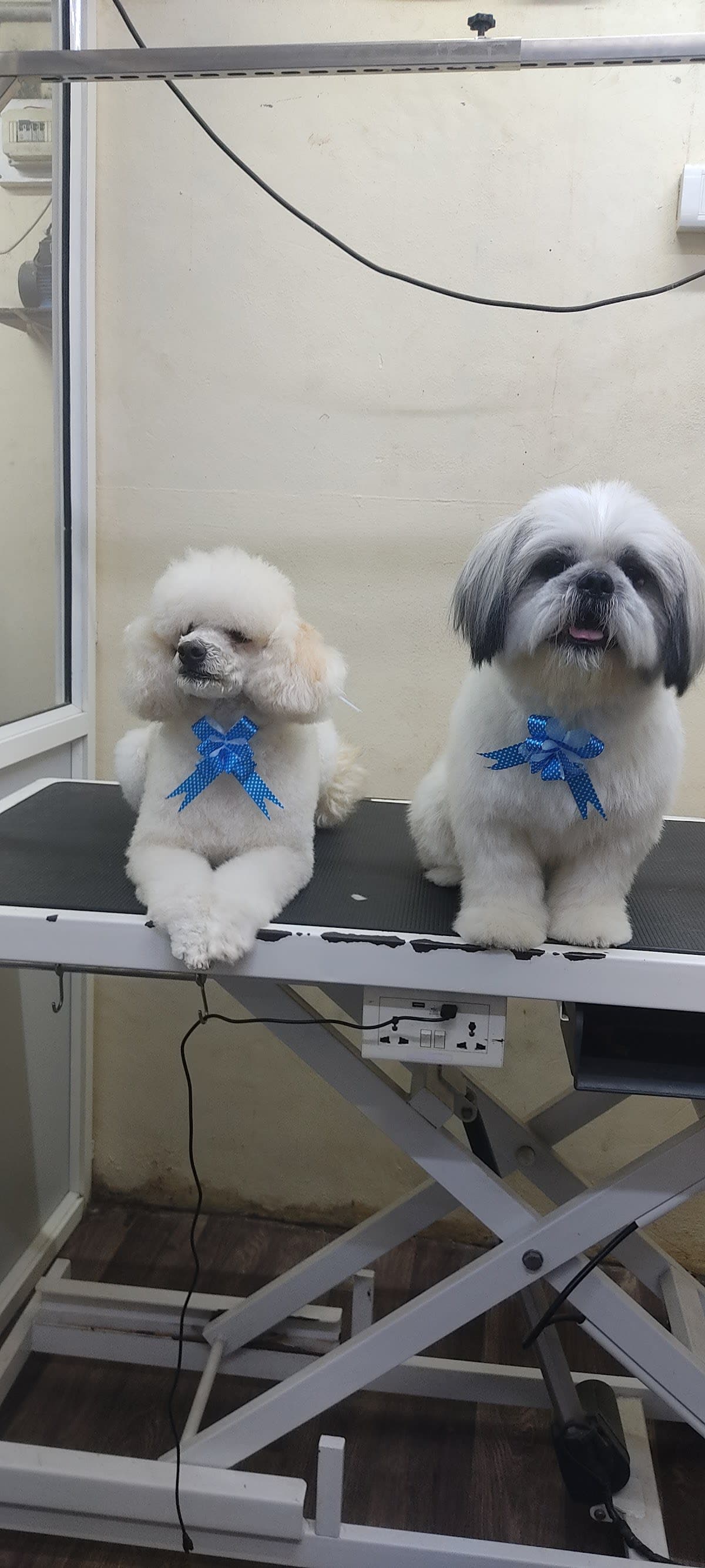 Nail Trim