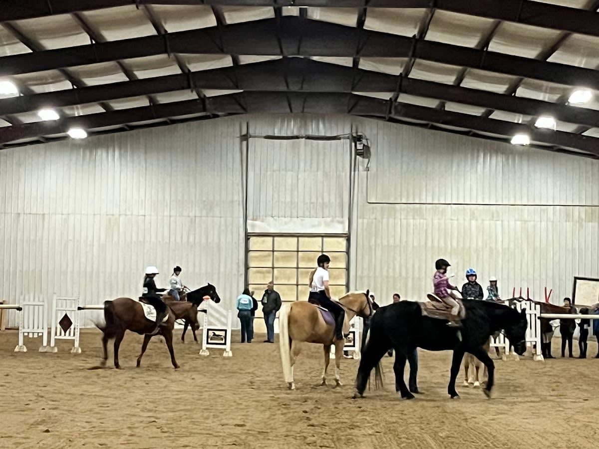 Learn About Horses Before Riding