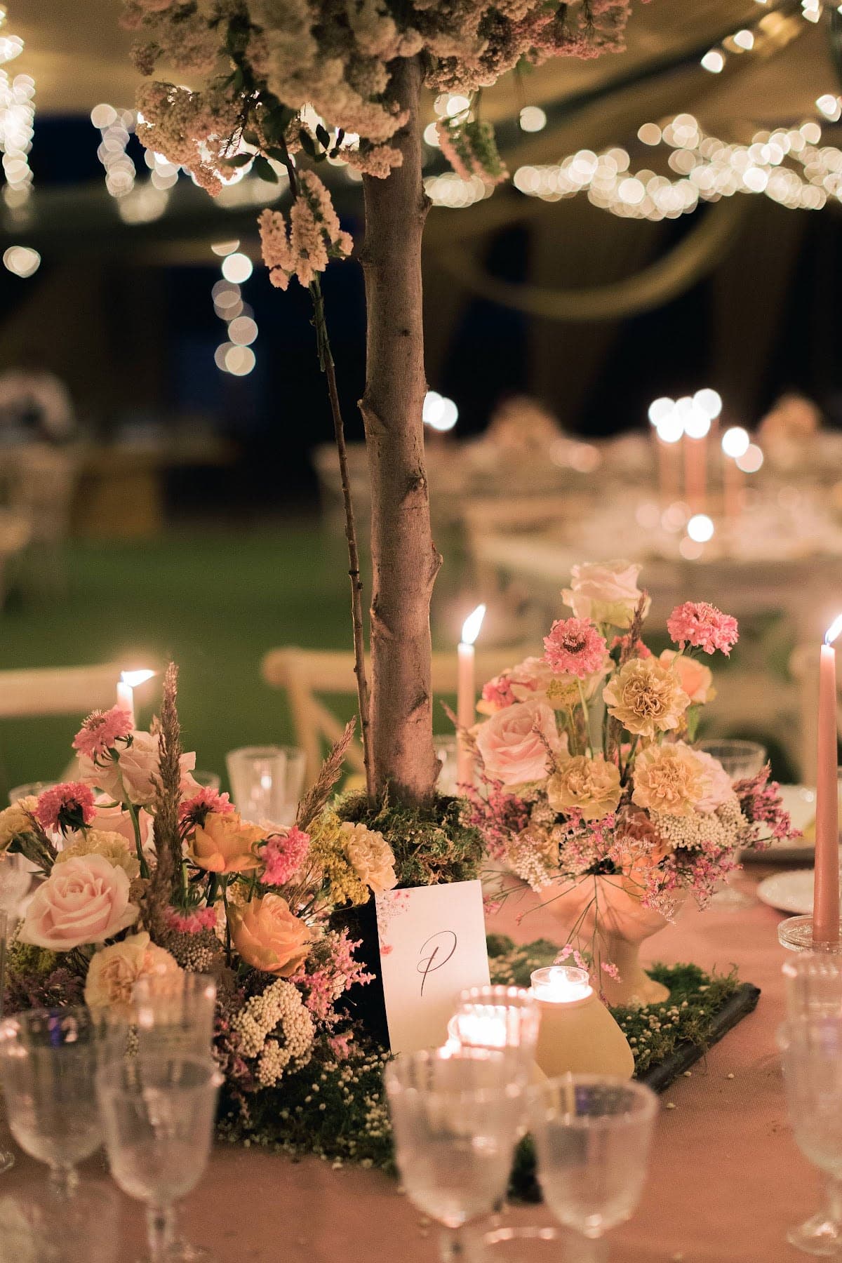 Wedding Coaching