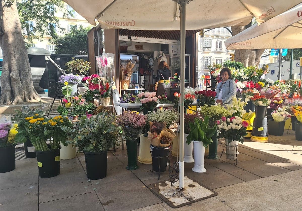 Floristería Emilia Alameda