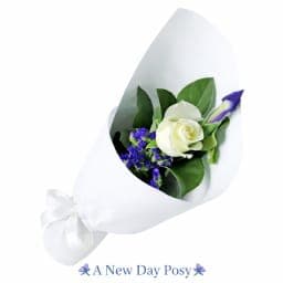 Gerbera Bowl
