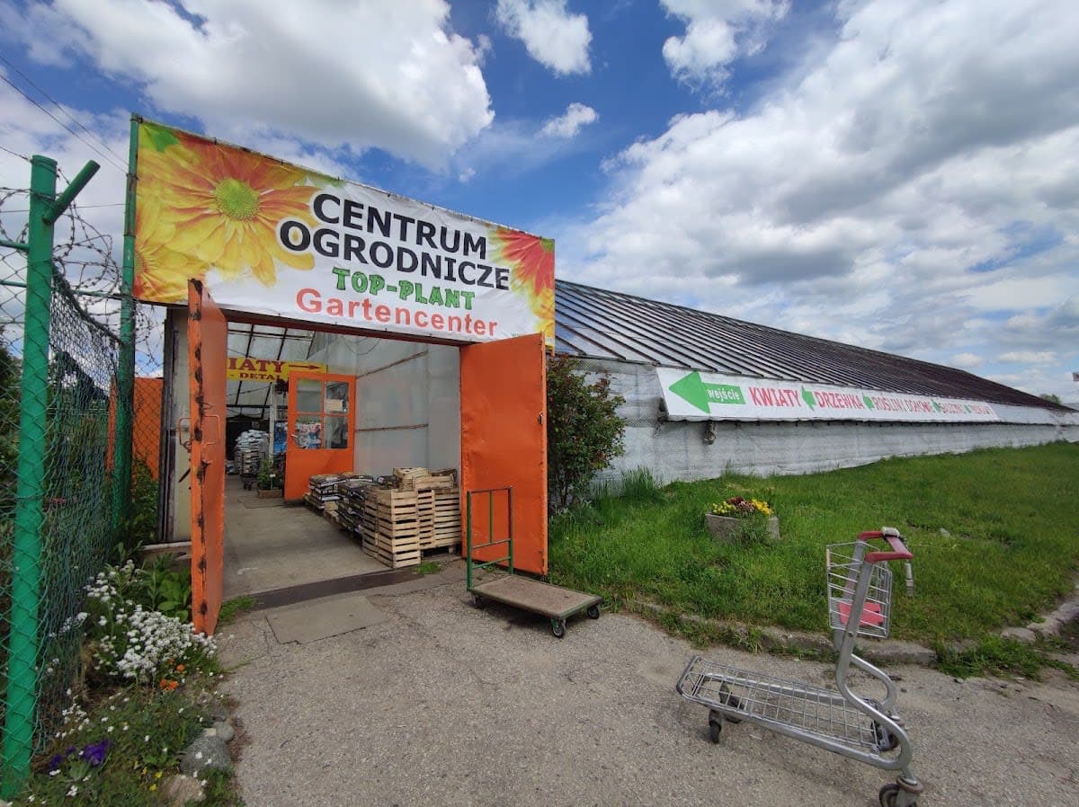Sprzedaż roślin balkonowych