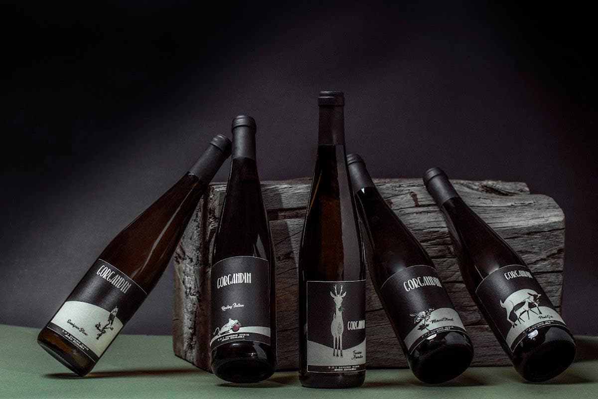 Gorgandin Traminer Aromatico