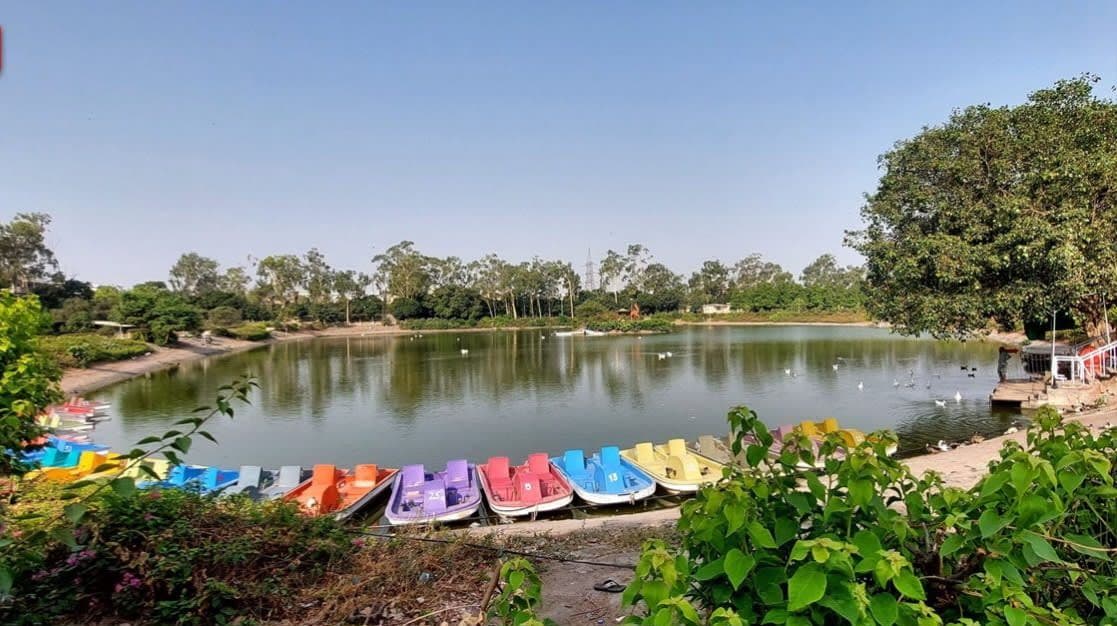 Paddle Boats