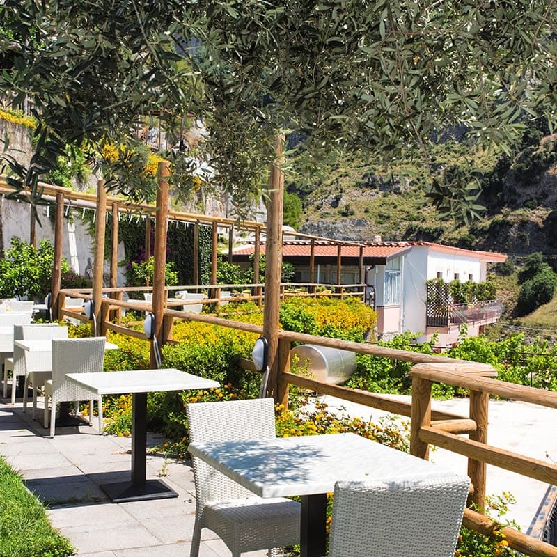 Hotel Holiday's Fico d'India