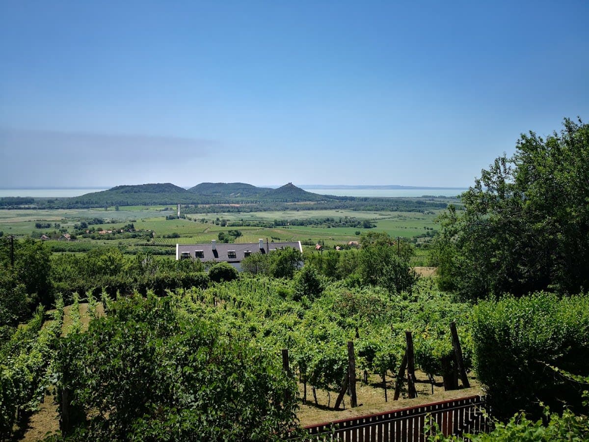 Wine Tasting