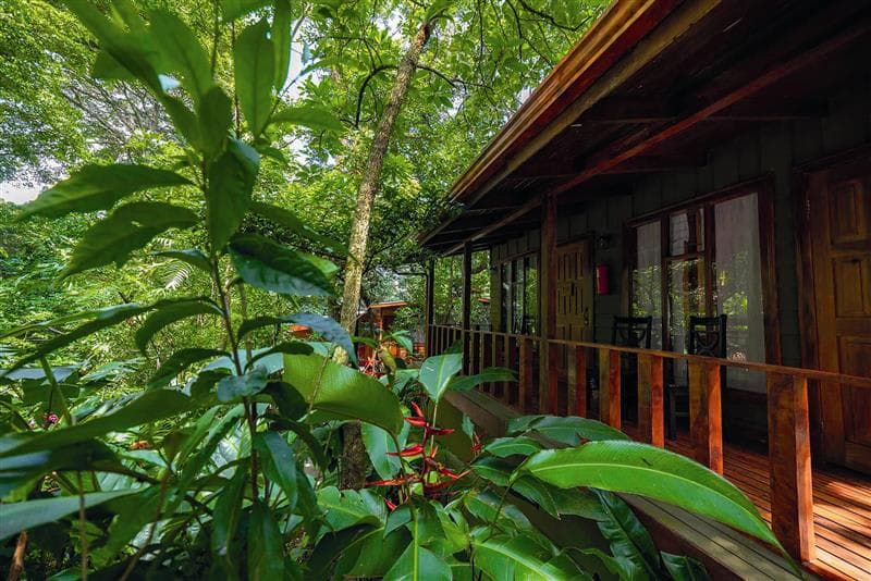 Habitación Estándar
