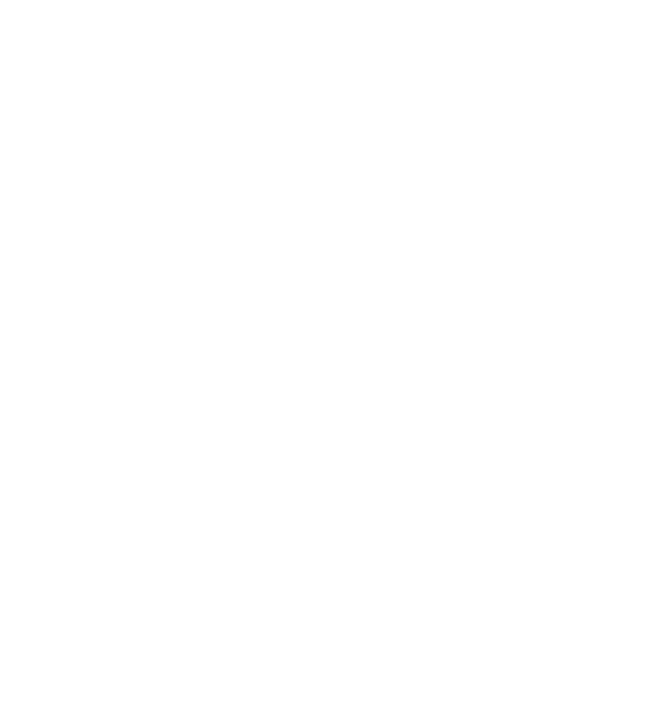 Vinyasa Flow