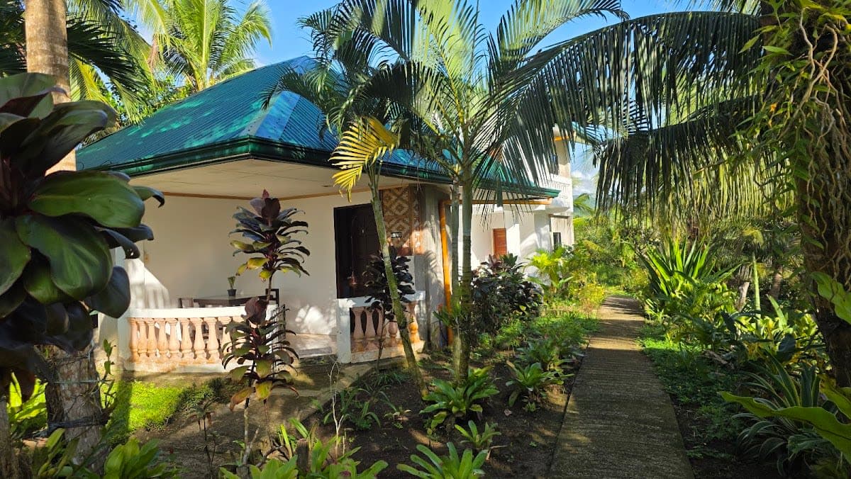 Deluxe Single Room, Mountain View