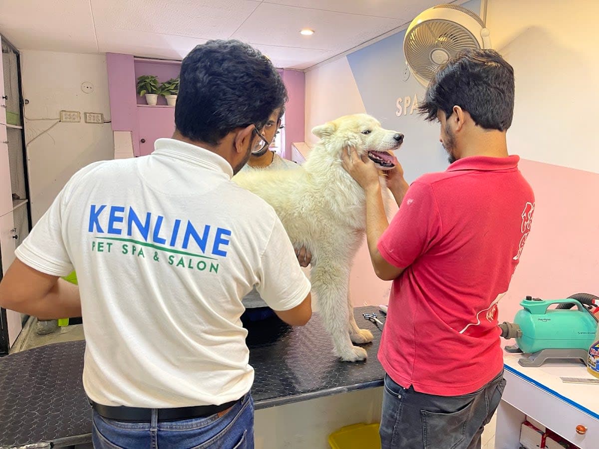 Spa-Quality Grooming