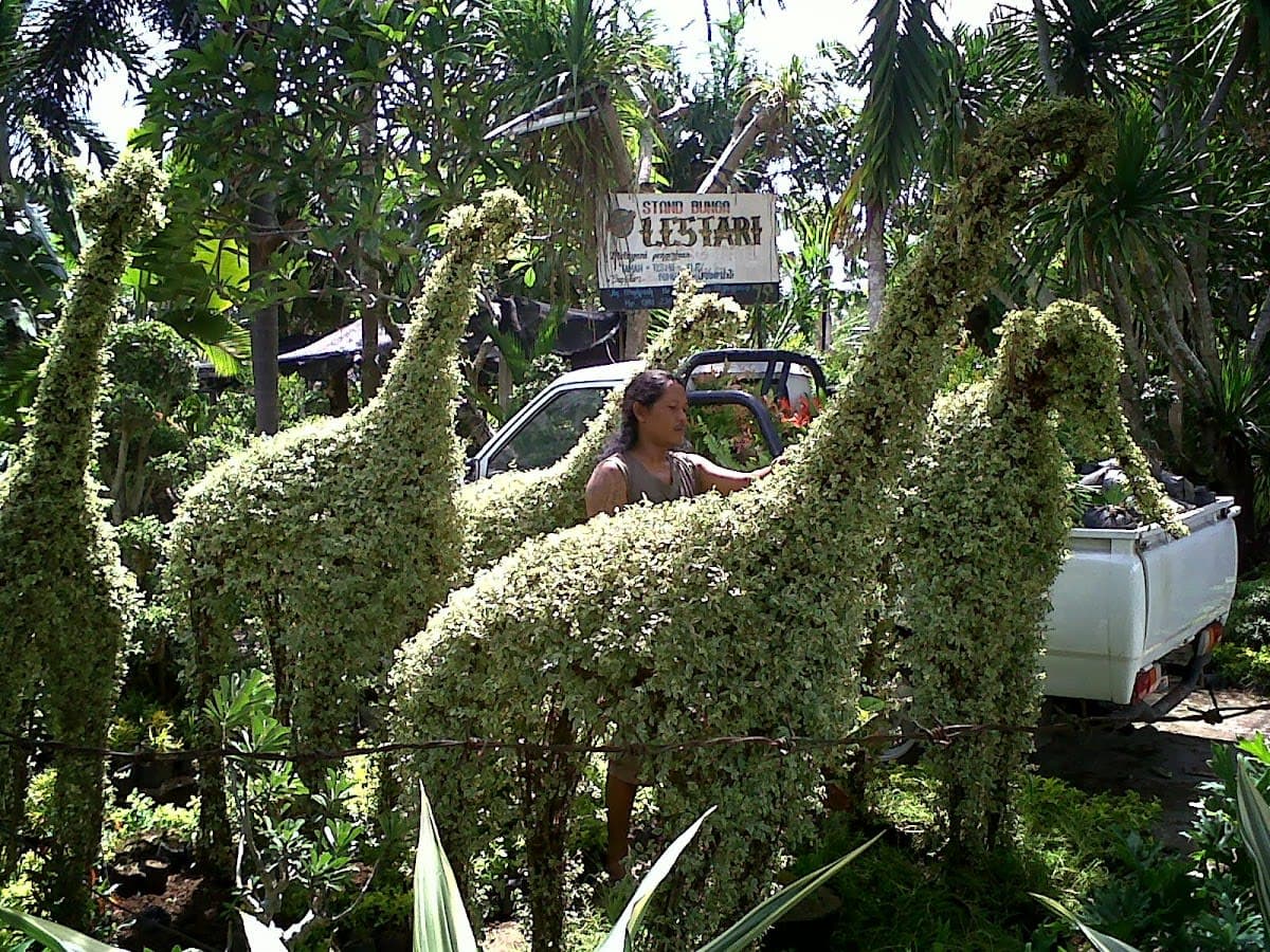 Layanan Landscape Decoration