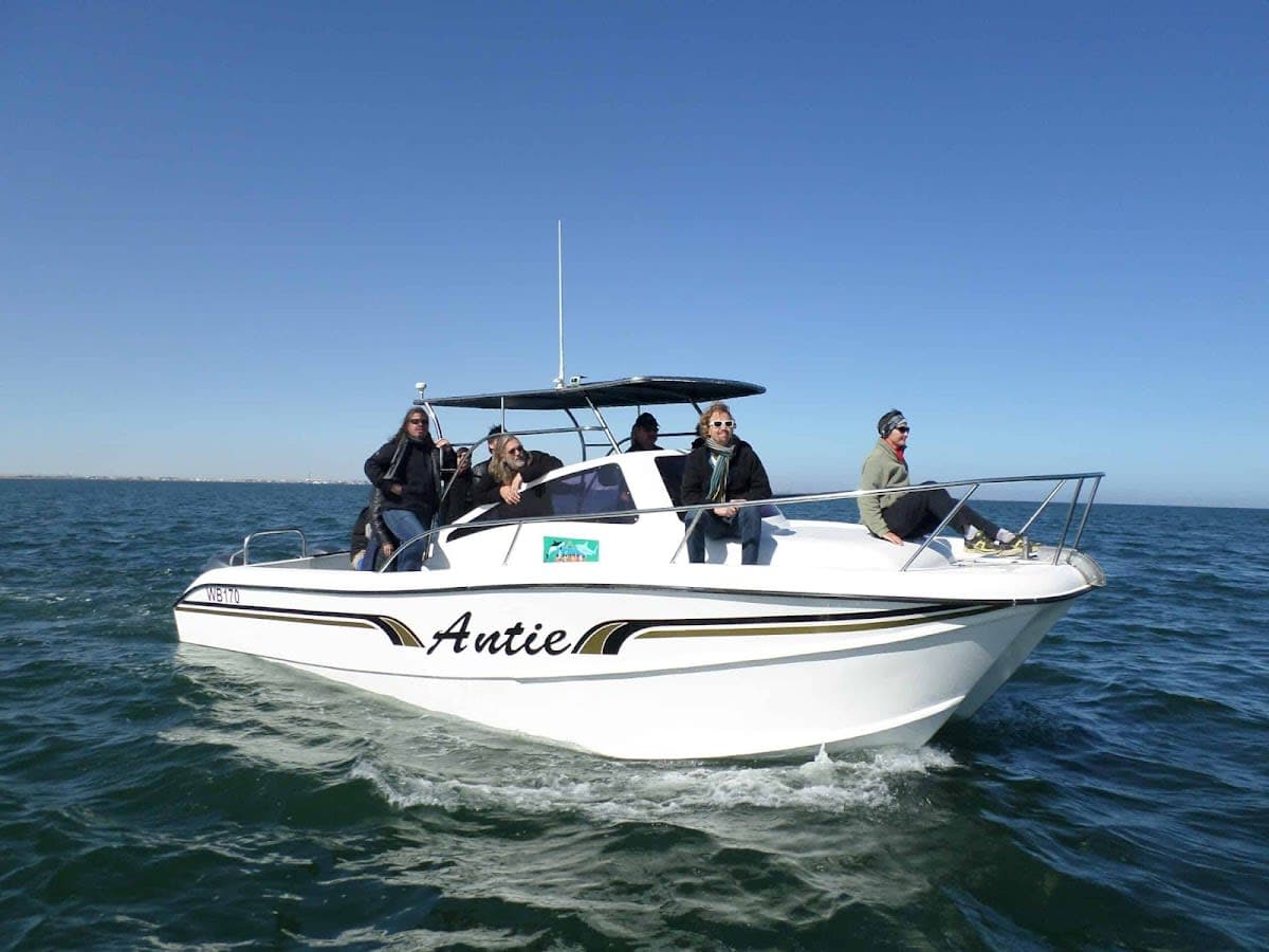 Dolphin & Seal Tour - Walvis Bay Boat Cruise