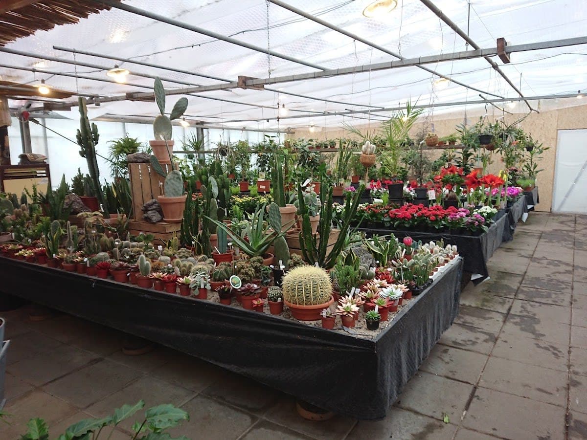 Lilliendal Plant Center - Flowers Ronne