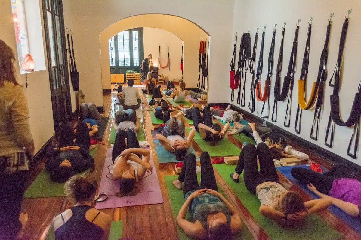 Profesorado de Yogaterapia