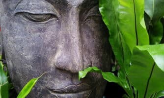 Vinyasa Flow