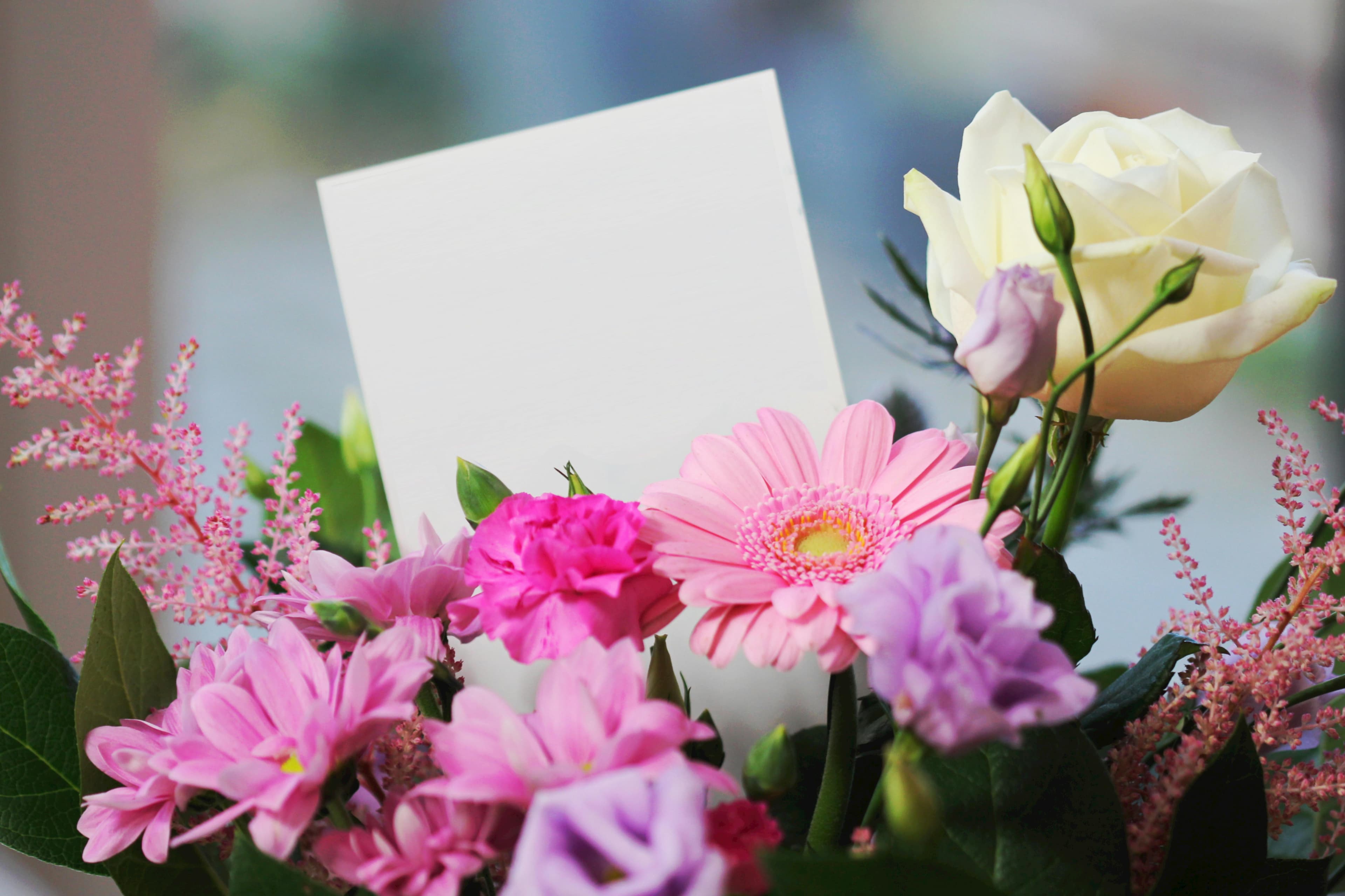 Mandi Flowers Cape Town
