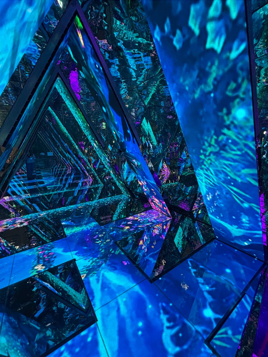 VR Theme Park