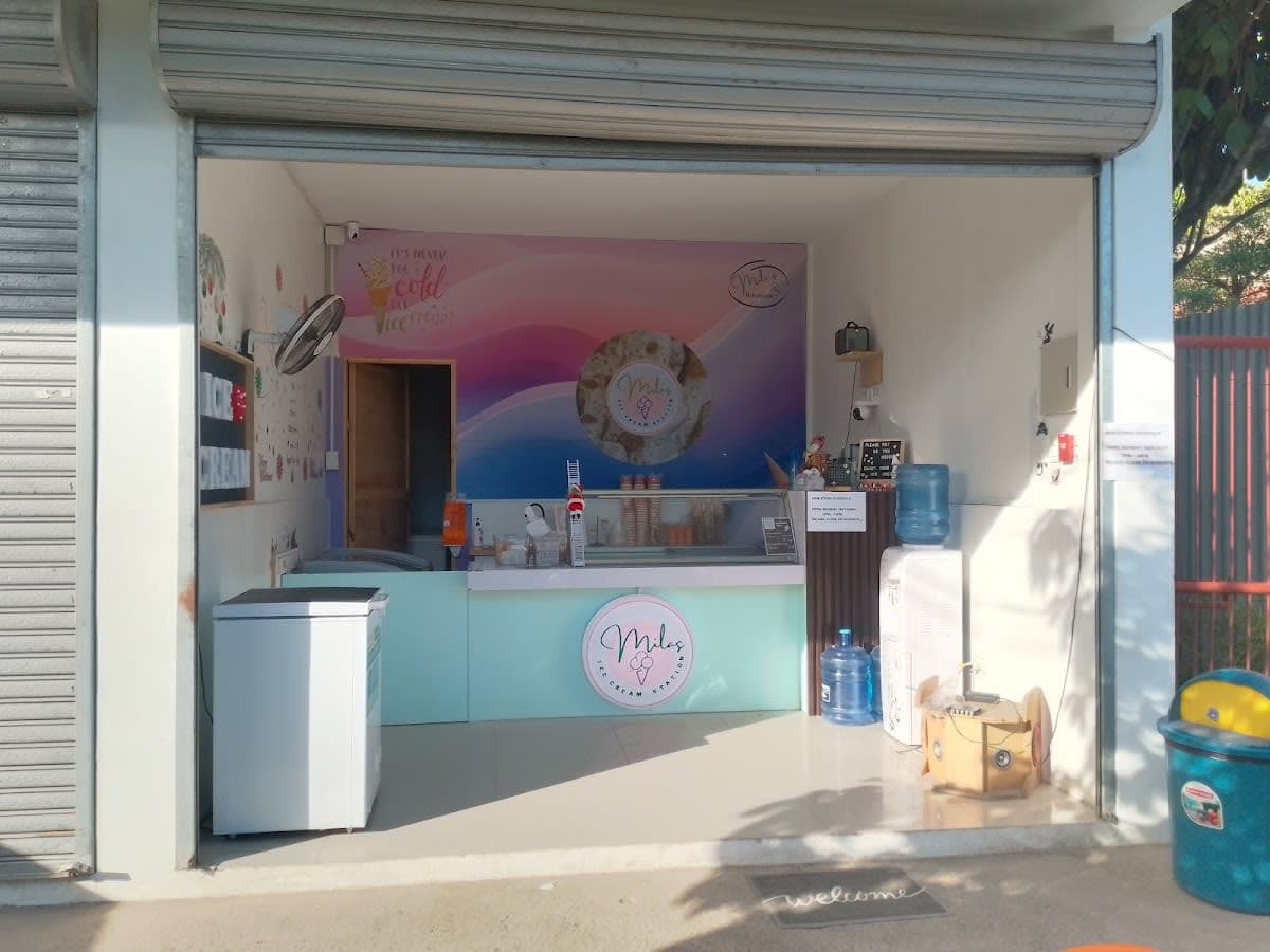 Ice Cream Scoops