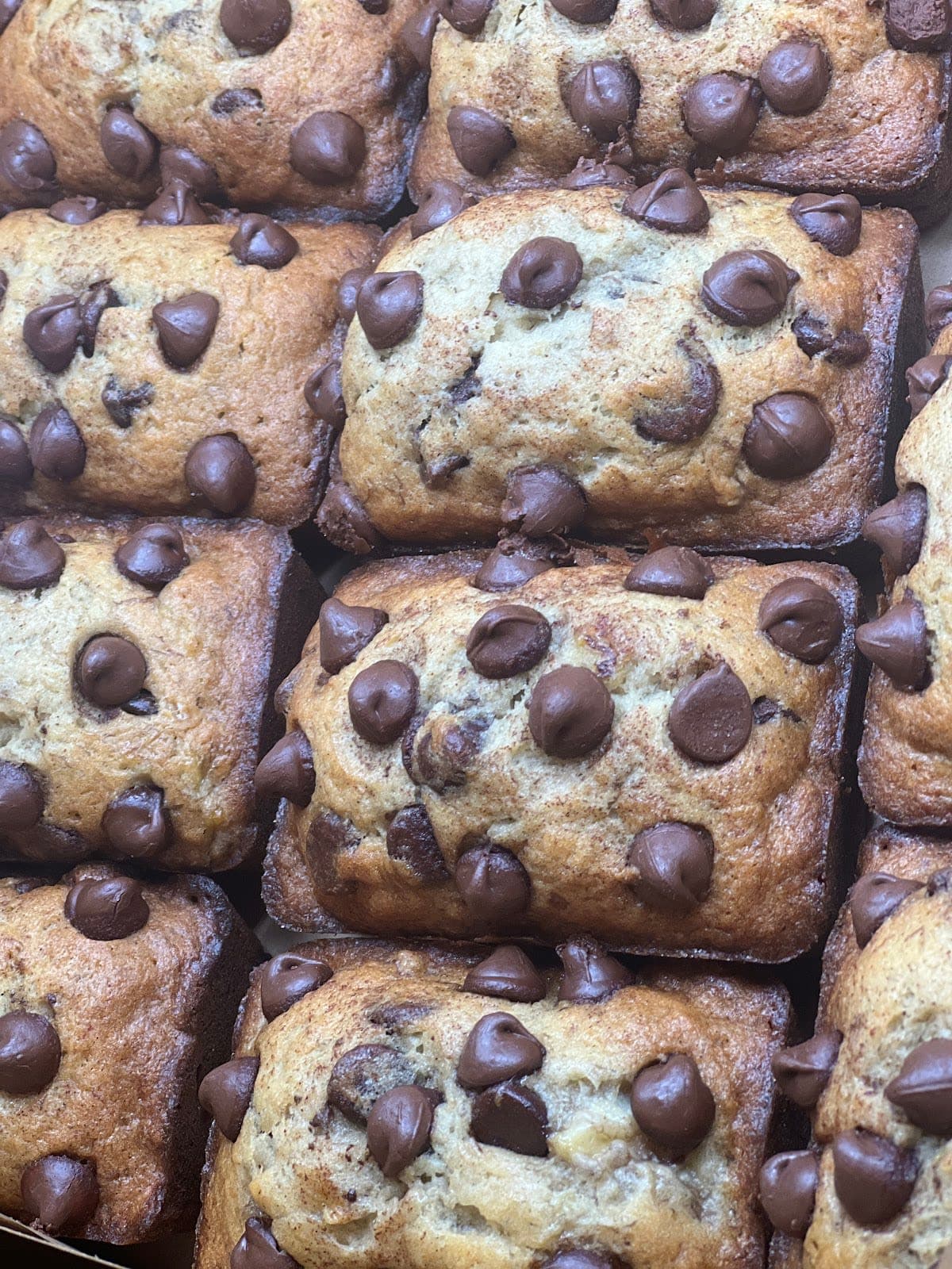 Mucho Gusto Bakes