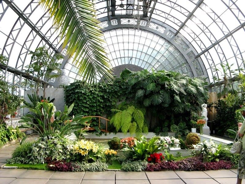 My Favourite Garden