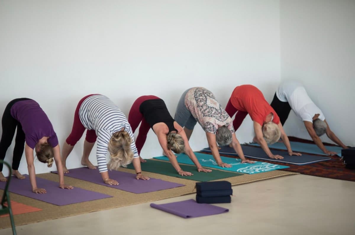 Vinyasa Flow