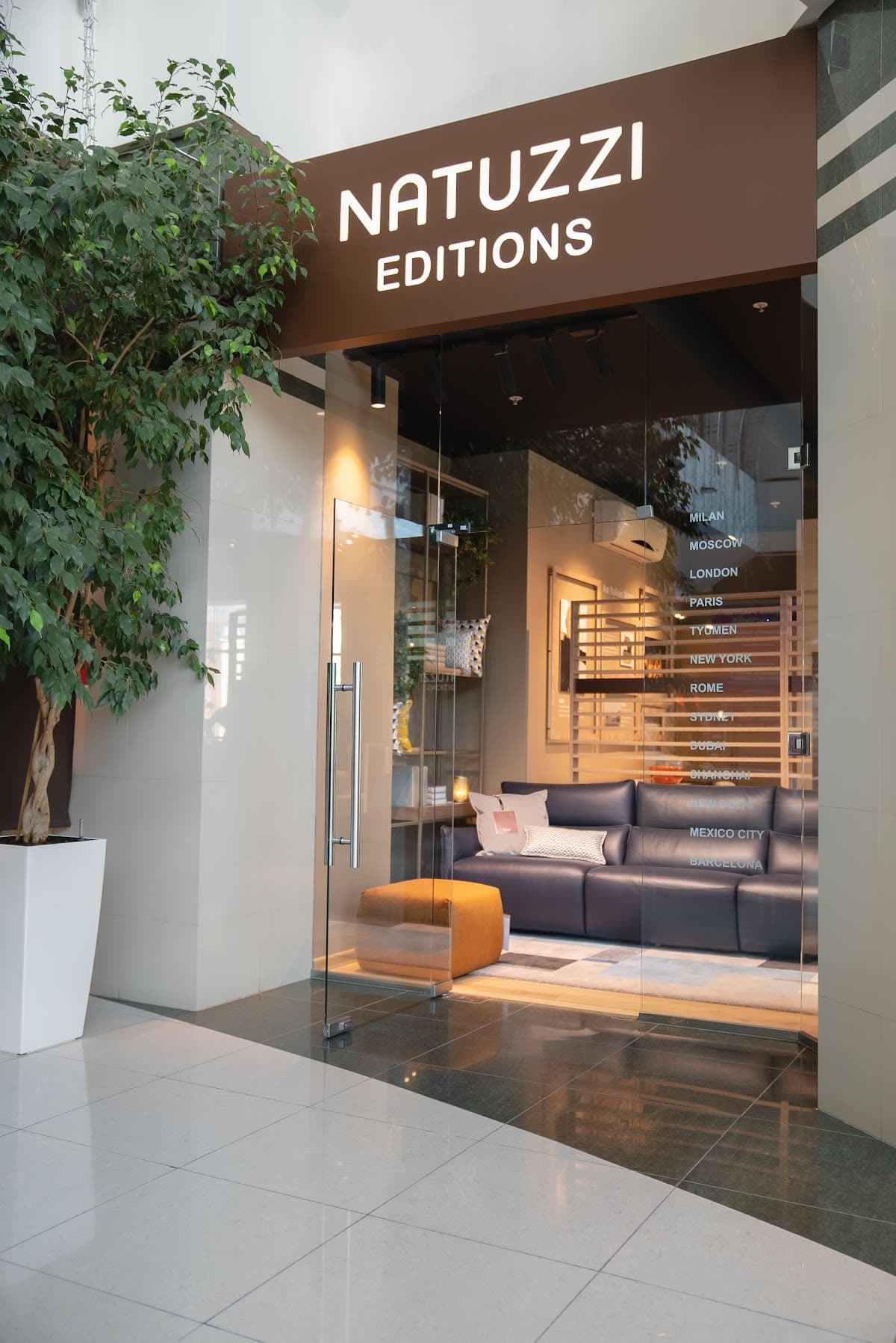 Natuzzi Editions