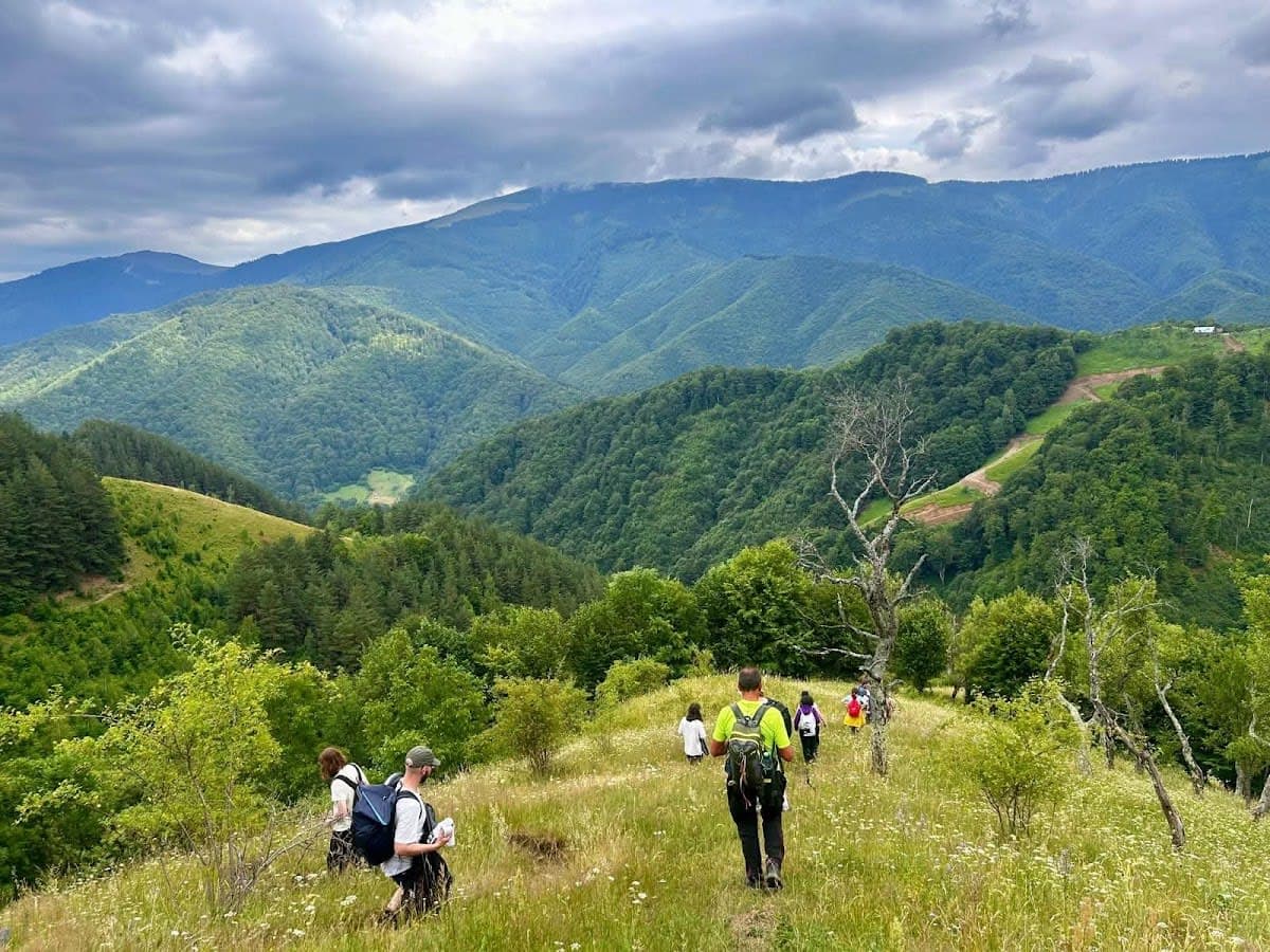 Excursii spre castele și orașe medievale