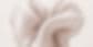 Vinyasa Flow