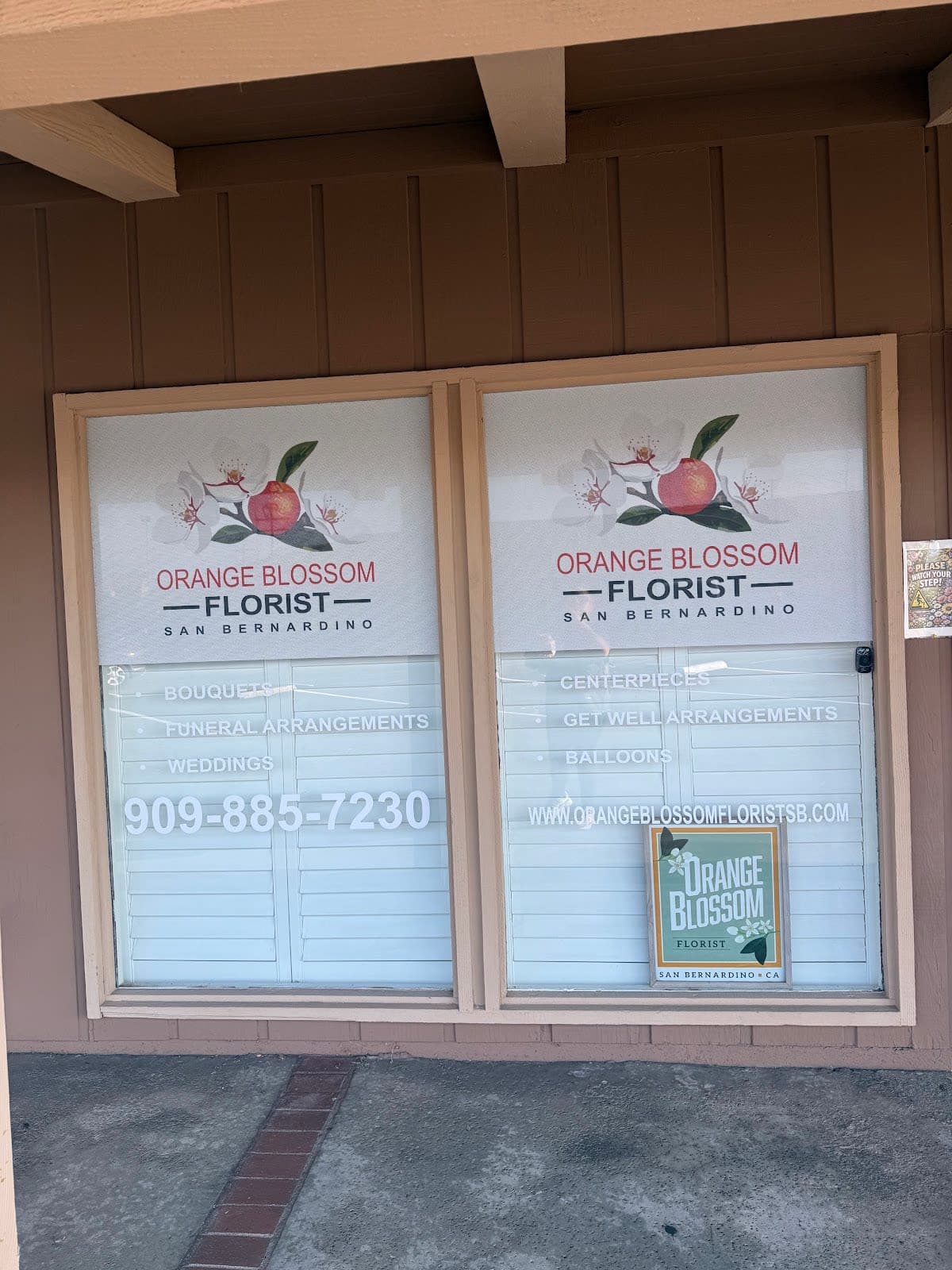 Orange Blossom Florist